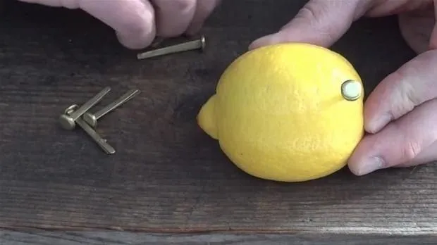 Limonla sıra dışı deney!