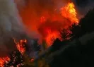 Orman yakan teröriste rekor ceza!