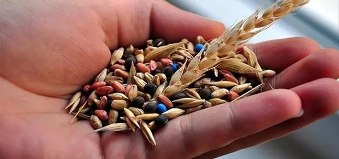 Yerli ve milli tohum atağı! Tarla bitkilerinde 35 bahçe bitkilerinde 25 yeni tohum çeşidi geliştirildi