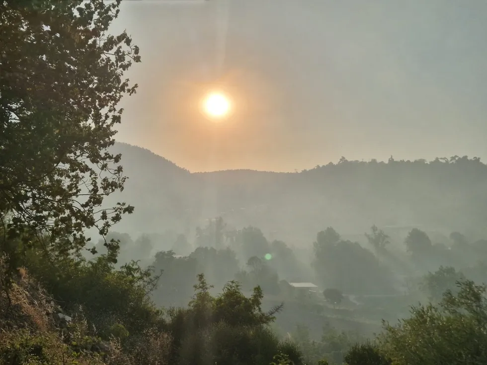Balıkesir'de orman yangını çıktı! Havadan ve karadan müdahale sürüyor - 2