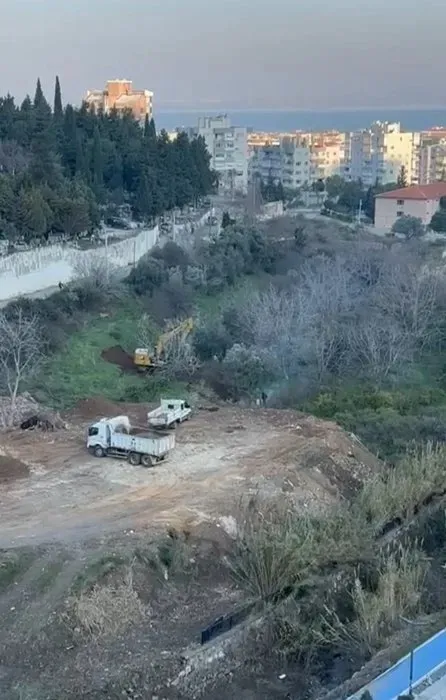 CHP’li Narlıdere Belediyesi’nden ağaç katliamı! Bakanlık olaya el koydu