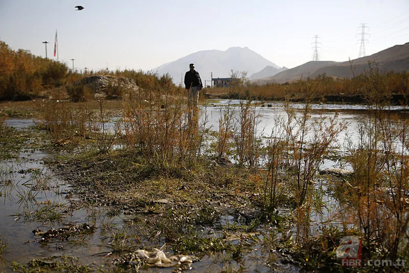 İran'ın tehdit eden felaket! Cumhurbaşkanı Pezeşkiyan: Tahran'ı tahliye etmek zorunda kalabiliriz 12