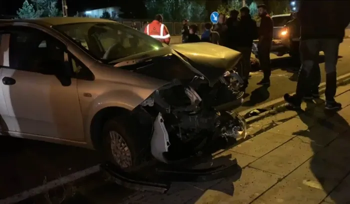 Sarıkamış’ta otomobilin çarptığı ayı telef oldu - 2