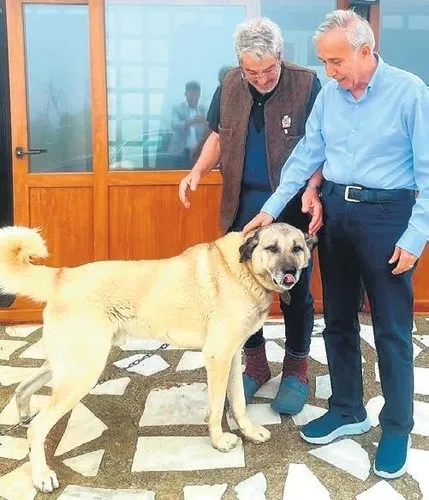 CHP 28 Mayıs'ta neden hezimete uğradı? Gazeteci ve yazar Sadık Albayrak'tan dikkat çeken tespit: CHP'nin kaderi bu - 1