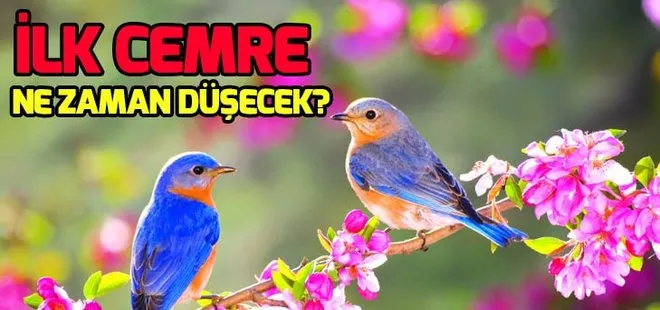 İlk cemre düştü mü? İlk cemre ne zaman düşer? İlk cemre nereye düşüyor?