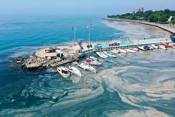 Son dakika | Çevre ve Şehircilik Bakanı Bakanı Murat Kurum'dan müsilajla ilgili önemli açıklama! - 4