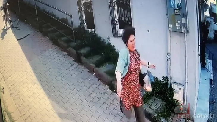 İstanbul’da kan donduran pitbull saldırısı! Köpeğini parka götüren kadına dehşeti yaşattı