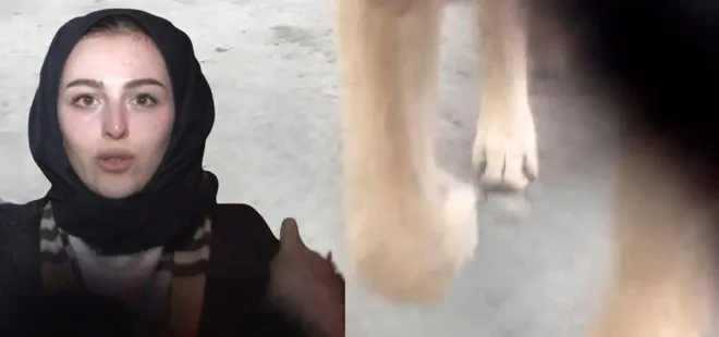 Beylikdüzü’nde sosyal medyada paylaşmak için video çekerken telefonunu köpeğe kaptırdı