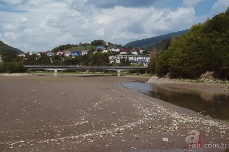 Avrupa'da 500 yılın kuraklığı! Dünya korkuyla izliyor 18