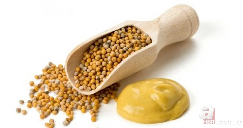 İbn-i Sina'nın asırlık tarifi! Her tutamında mucizevi şifa sunuyor: Kolesterol, eklem ağrıları, sindirim... 8