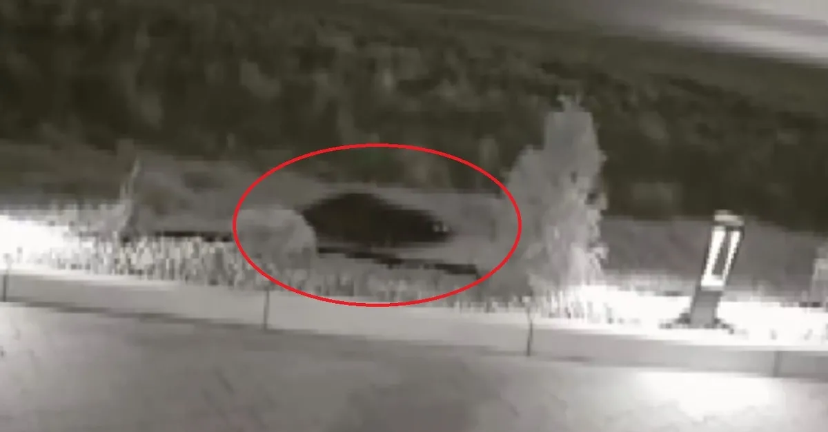 Son dakika haberi... Kameraları görünce gözlerine inanamadı! Her yerde onu arıyor |Video