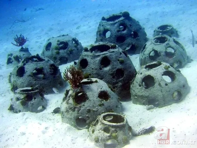 Bursa’da korkunç gelenek 200 yıldır devam ediyor! Derileri giyip… 21