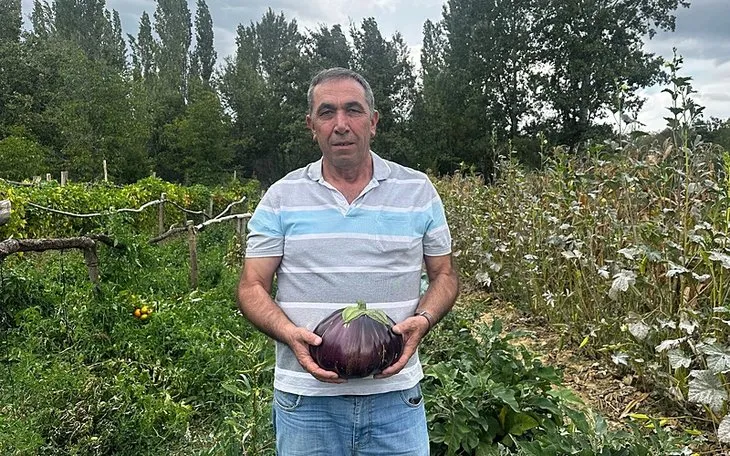 Tamamen organik! Hobi bahçesinde yetiştirdiği patlıcan görenleri şaşırttı