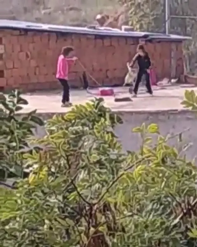 Son dakika: Kocaeli'de kan donduran işkence görüntüleri: Kediyi iple çatıdan sarkıtıp süpürge ile vurdular - 1