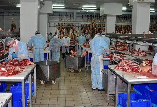 1663613577512.jpg Et ve Süt Kurumu'nda yeni dönem! 5 yıl geçerli olacak! Tarım ve Orman Bakanı Vahit Kirişci duyurdu - 4