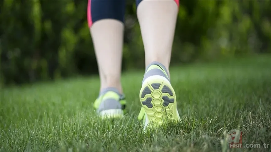 Sandığınız gibi değil! Bilim insanları cevapladı: Bulmaca çözmek gerçekten beyni genç tutmaya yeter mi? 6