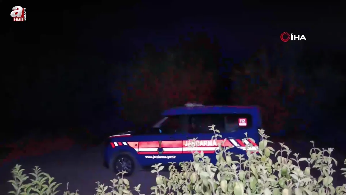 Adana'da eğitim uçağı düştü! 2 yaralı