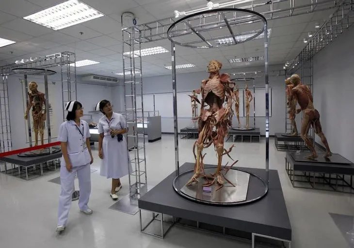 İlk insan vücudu müzesi açıldı