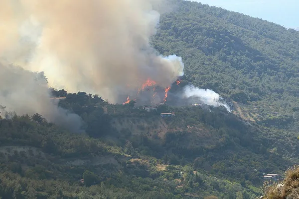 Tarım ve Orman Bakanı İbrahim Yumaklı: Hatay Belen’deki orman yangını büyük oranda kontrol altına alındı