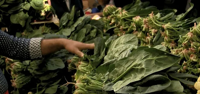 Ispanak vakası sonrası ortaya çıktı! Türkiye’deki yabancı otların bölge bölge sayısı