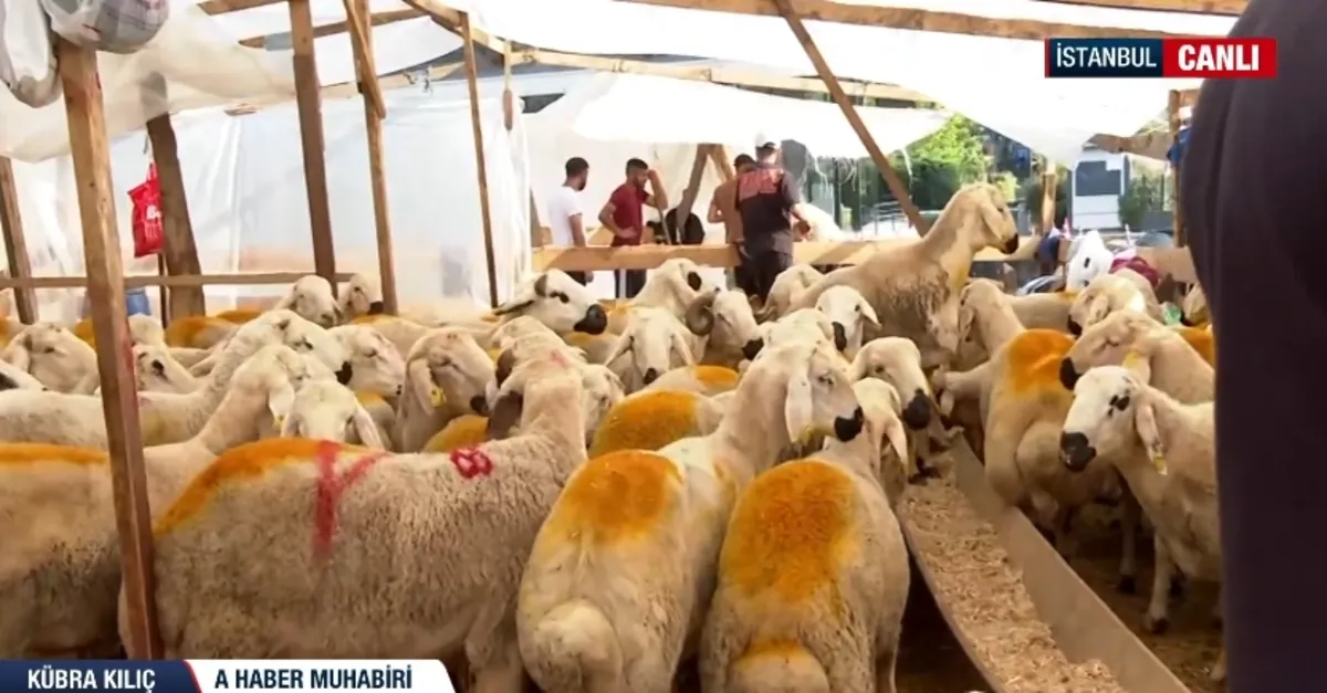 Kurban kesme alanlarında 2. gün yoğunluğu