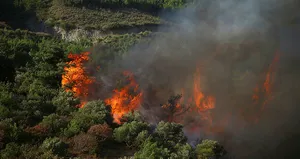 Hatay’da 2 şüpheli gözaltına alındı