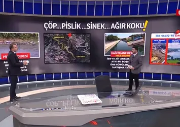 Çöp... Sinek... Ağır koku... Dikkat! Denize 'zehir' akıyor...