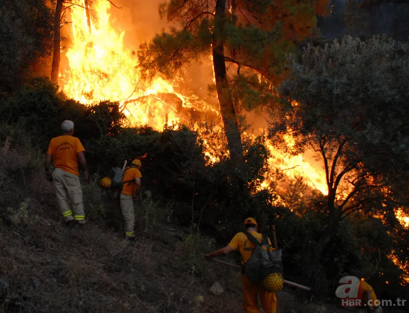 Orman Genel Müdürlüğü mevsimlik işçi alımı 2022 | Bakanlık duyurdu! Karar Resmi Gazete'de! İş arayanlara güzel haber 7
