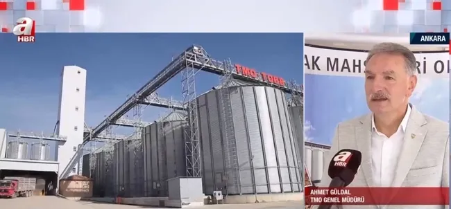 Tarlada hasat sezonu sürüyor! TMO randevu sisteminde bir sorun var mı?