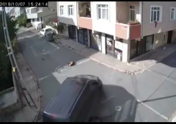 Yolda uyuyan köpeği ezip kaçtı