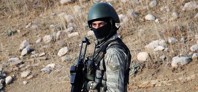 Son dakika: Siirt'te 3 terörist etkisiz hale getirildi