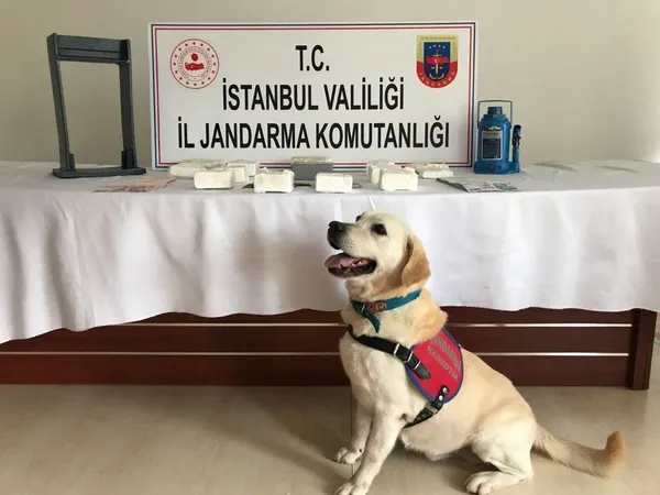 yurt-disindan-getirip-istanbulda-dagitacakti-ceteye-darbe-1594273100178.jpg Yurt dışından getirip İstanbul’da dağıtacaktı! Çeteye darbe... - 1