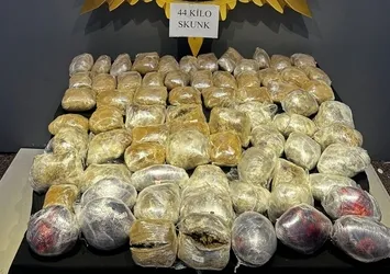 Malatya'da 44 kilogram skunk ele geçirildi