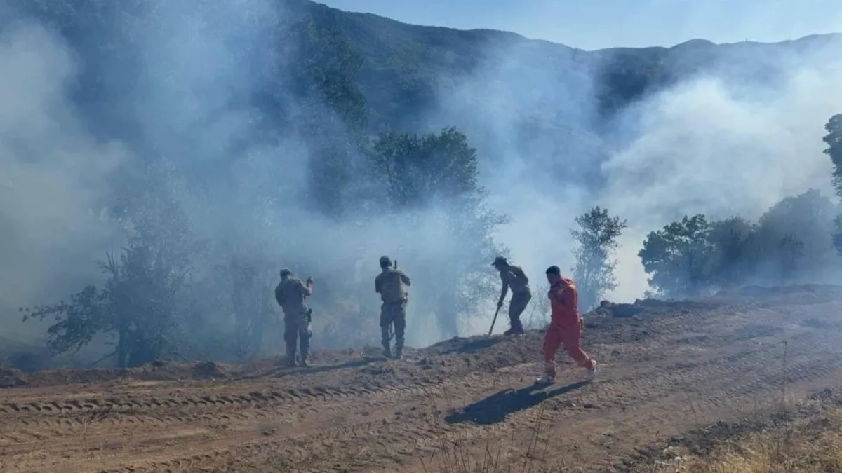 Tunceli'de kırsal alanda yangın! Jandarma ekiplerinden canhıraş müdahale