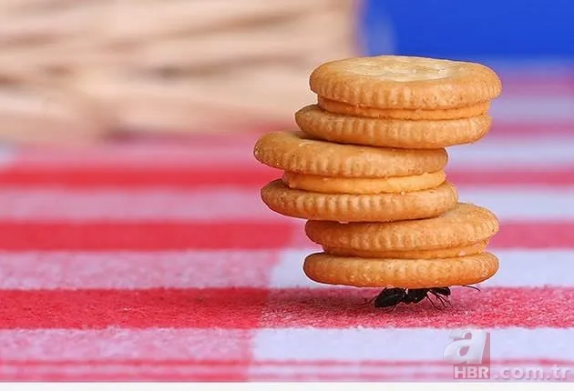 Peygamber Efendimiz’e (s.a.v) mi’raç hadisesinde gösterilen 10 insan grubu 5