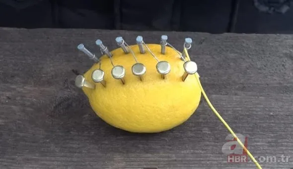 Sosyal medyayı sallayan köpek balığı deneyi yürekleri ağızlara getirdi! Okyanusa kan döküp bekledi ve... 22