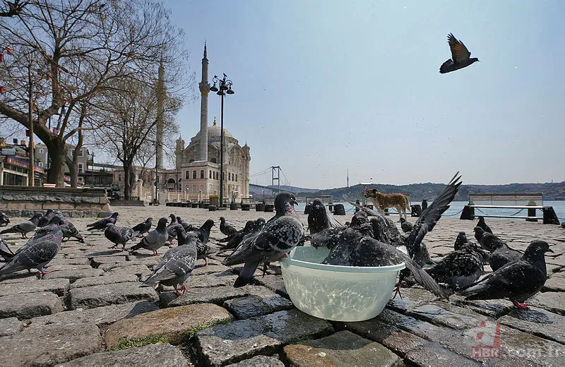 Bakan Fahrettin Koca açıkladı! Hafta içi sokağa çıkma yasağı gelecek mi? O tarihte gündeme gelecek 19