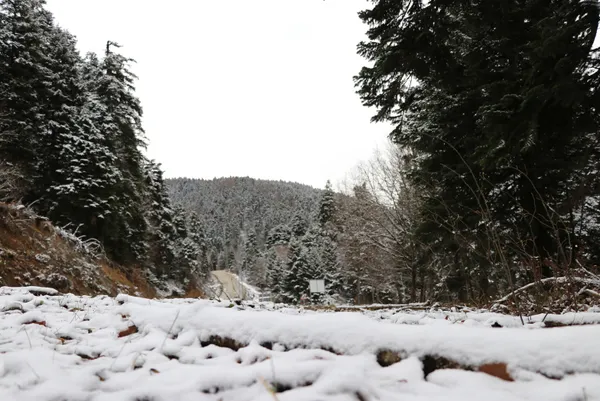 Son dakika: İstanbul’a kar yağacak mı? Meteoroloji’den kar açıklaması! Kar yağacak tarihler açıklandı