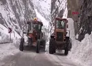 Yol temizlenirken çığ düştü