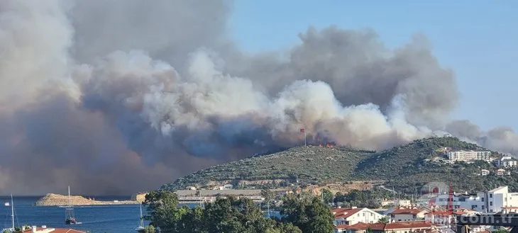 Muğla’nın Datça ilçesinde Kargı mevkindeki ormanlık alanda yangın!