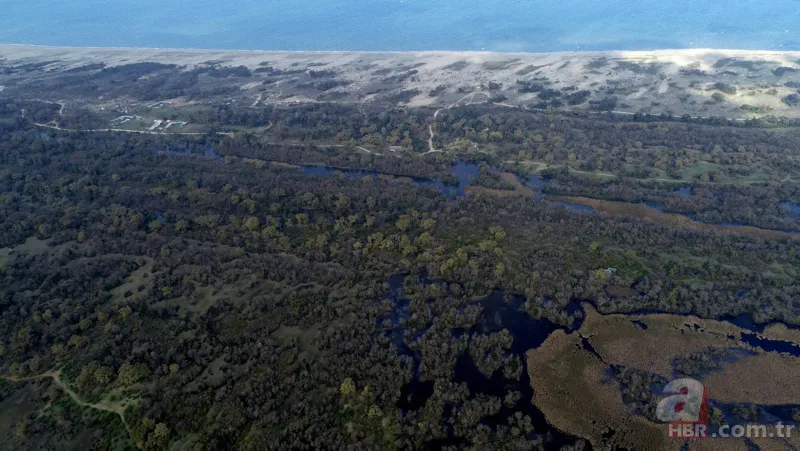 22 kilometre uzunluğu ile Türkiye'nin en uzun sahili! Sağlık turizminin gözdesi olacak 9