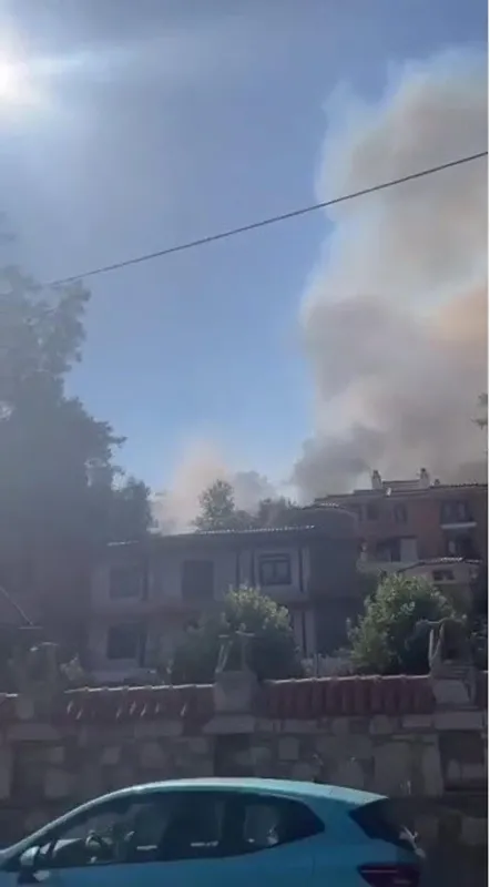 Son dakika: Marmaris'te orman yangını! Havadan ve karadan müdahale - 1