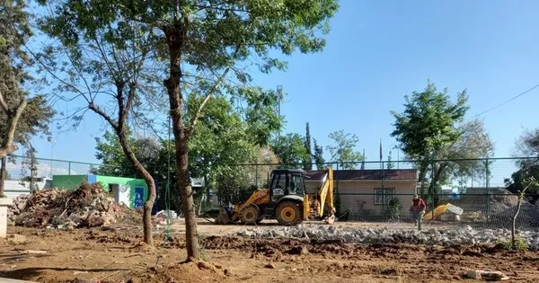 chpli-ibb-genisletme-bahanesiyle-kartalda-agaclari-kesti-2-aydir-tek-civi-dahi-cakmadi-1627124697942.jpg CHP'li İBB genişletme bahanesiyle Kartal'da ağaçları kesti! 2 aydır tek çivi dahi çakmadı - 1