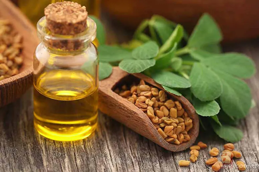 İbn-i Sina'dan saç dökülmesini durduran tarif! Saçkıranı bile yok ediyor... 6