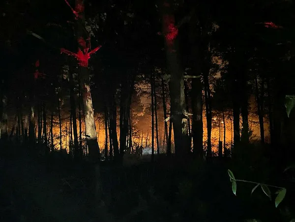 İstanbul Çekmeköy’de orman yangını! Ekiplerin müdahalesiyle kontrol altına alındı