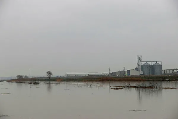 Turuncu alarm verilen Ergene Nehri taştı - 6