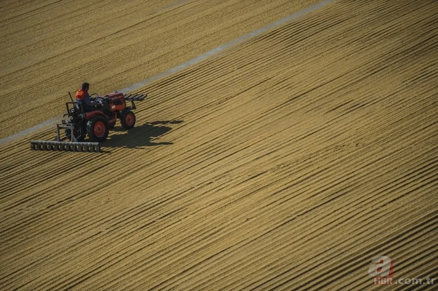 Güneydoğu bulguru 88 ülkeye satıldı 12