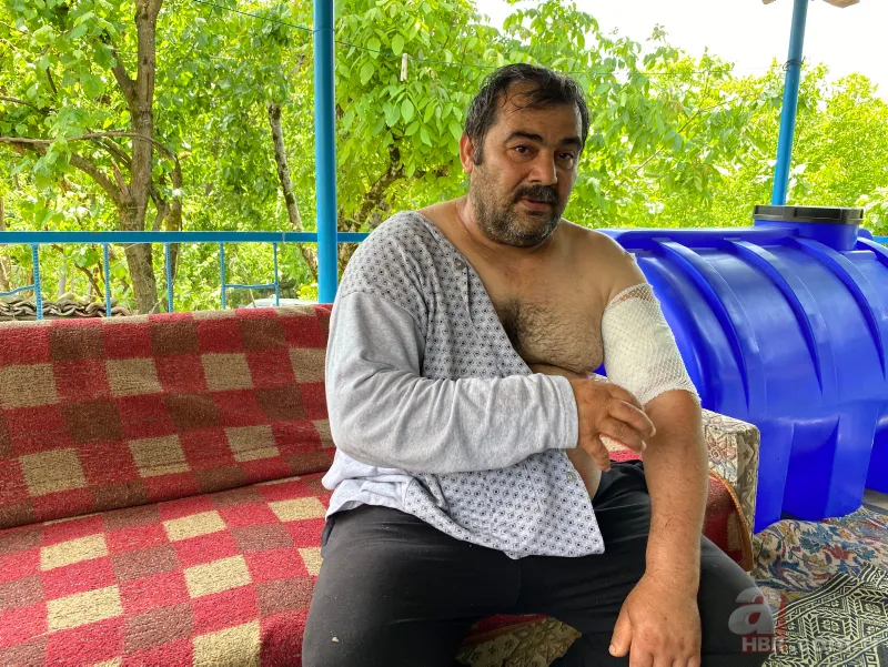 Bartın'da ayı saldırısı! 65 dikiş atıldı: Öldüğümü sanıp bıraktı 14