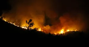 Ya ölecek ya kalacağız