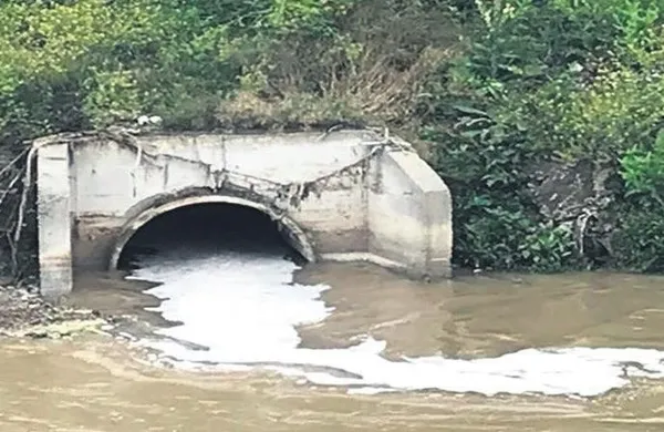 Bakanlık ırkçı Başkan Tanju Özcan hakkında suç duyurusunda bulundu! Göz göre göre çevre katliamı - 3